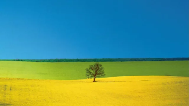 Franco Fontana  Museo di Santa Giulia – Brescia  Fino al 25 Agosto 2024