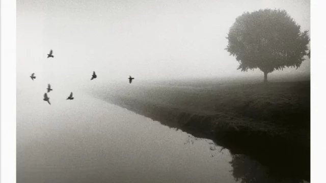 Michael Kenna  Il Fiume Po  Corsiero